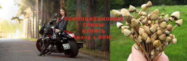 гидропоника Заволжск