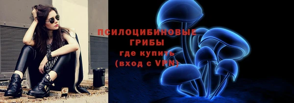 гидропоника Заволжск