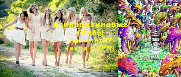 мескалин Заводоуковск