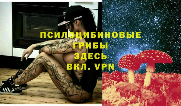 гидропоника Заволжск
