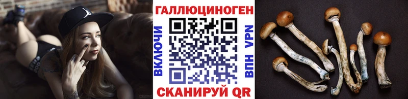 Псилоцибиновые грибы GOLDEN TEACHER  Купить  Николаевск 